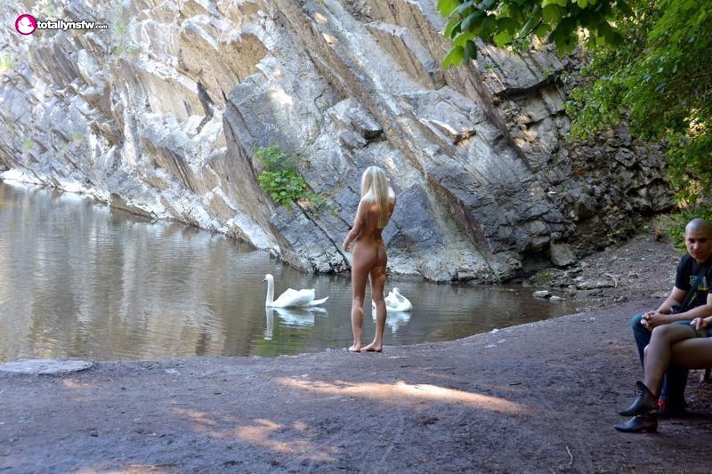 birdwatching 5551