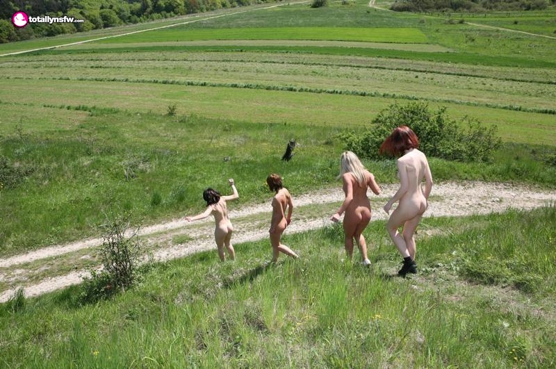 birdwatching 5579